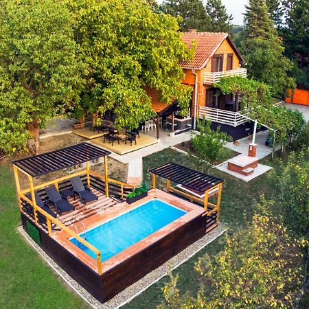 Villa Dijana - Pool, Spa, Outdoor Kitchen Белград Экстерьер фото